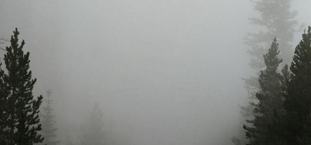 empty road surrounded with trees with fog by Katie Moum courtesy of Unsplash.