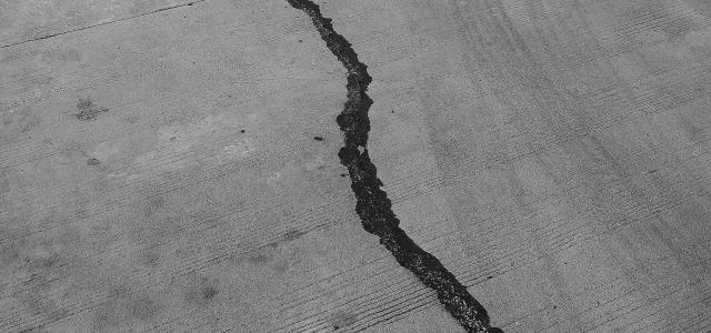 grayscale photo of a wooden floor by Shefali Lincoln courtesy of Unsplash.